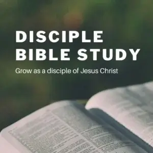 bcumc disciple bible study 1x1